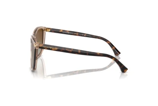 Widok z boku Emporio Armani EA4060 (5850T5)