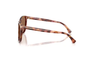 Widok z boku Emporio Armani EA4060 (619673)