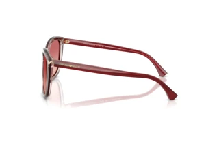Widok z boku Emporio Armani EA4060 (6377A5)