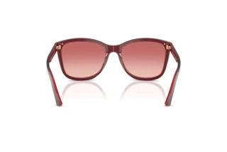 Widok z tyłu Emporio Armani EA4060 (6377A5)