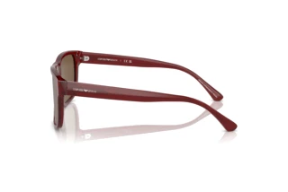 Widok z boku Emporio Armani EA4163 (507573)