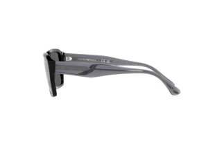 Widok z boku Emporio Armani EA4186 (501787)