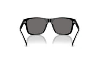 Widok z tyłu Emporio Armani EA4208 (605187)