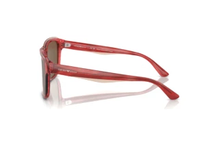 Widok z boku Emporio Armani EA4208 (605373)