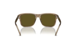 Widok z tyłu Emporio Armani EA4208 (605573)