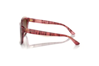 Widok z boku Emporio Armani EA4209 (605713)
