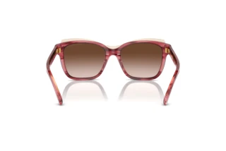 Widok z tyłu Emporio Armani EA4209 (605713)