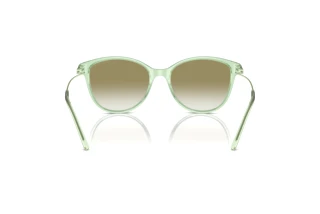 Widok z tyłu Emporio Armani EA4220 (61078E)