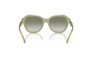 Widok z tyłu Emporio Armani EA4221 (61168E)