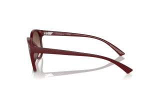 Widok z boku Emporio Armani EA4225U (610113)