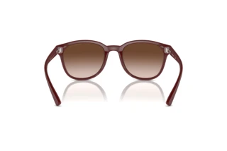 Widok z tyłu Emporio Armani EA4225U (610113)
