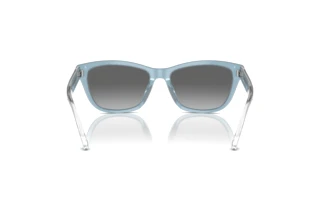 Widok z tyłu Emporio Armani EA4227U (609611)