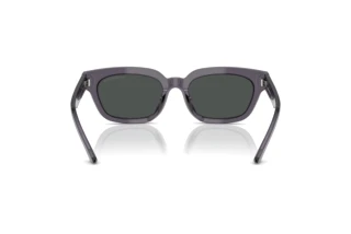 Widok z tyłu Emporio Armani EA4233U (610687)