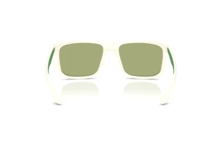 Widok z tyłu Emporio Armani EA4234U (618782)