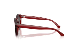 Widok z boku Emporio Armani EA4245U (624887)