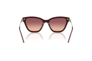 Widok z tyłu Emporio Armani EA4251 (62658D)
