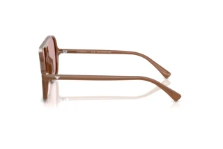 Widok z boku Emporio Armani EA4252U (627173)