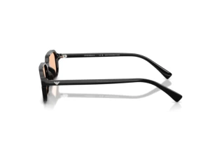 Widok z boku Emporio Armani EA4253U (501793)