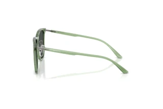 Widok z boku Emporio Armani EA4255D (536287)