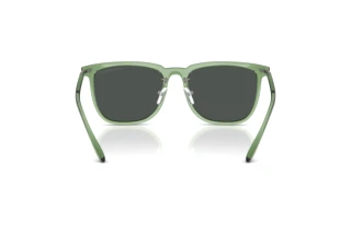 Widok z tyłu Emporio Armani EA4255D (536287)