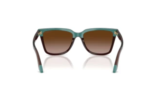 Widok z tyłu Emporio Armani EA4261 (631813)