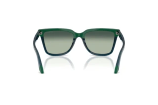 Widok z tyłu Emporio Armani EA4261 (631919)