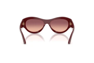 Widok z tyłu Emporio Armani EA4265U (63238D)