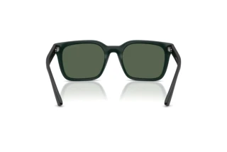 Widok z tyłu Emporio Armani EA4269 (637071)