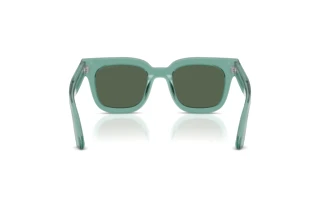 Widok z tyłu Emporio Armani EA4271 (636571)