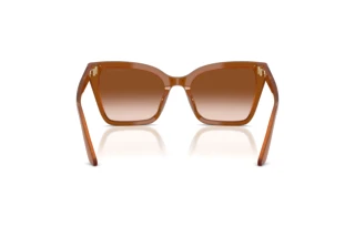 Widok z tyłu Emporio Armani EA4273BU (637613)