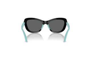 Widok z tyłu Emporio Armani EK4004 (501787)