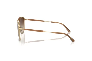 Widok z boku Giorgio Armani AR6149 (300213)