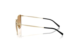 Widok z boku Giorgio Armani AR6155 (301313)