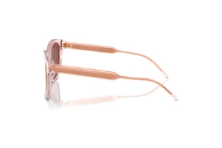 Widok z boku Giorgio Armani AR8210U (6073C5)
