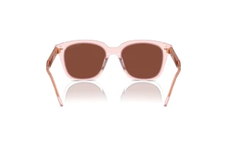 Widok z tyłu Giorgio Armani AR8210U (6073C5)