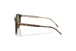 Widok z boku Giorgio Armani AR8211 (587914)