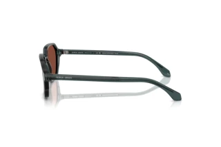 Widok z boku Giorgio Armani AR8220 (6171C5)