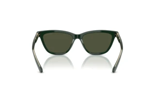 Widok z tyłu Giorgio Armani AR8221 (617331)
