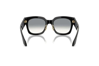 Widok z tyłu Giorgio Armani AR8223 (500111)