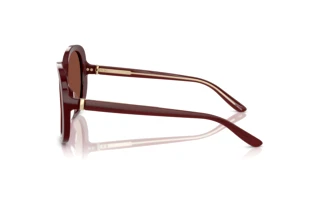 Widok z boku Giorgio Armani AR8229U (5955C5)