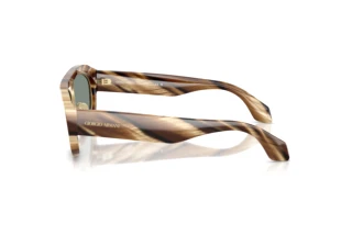 Widok z boku Giorgio Armani AR8239 (6065/1)