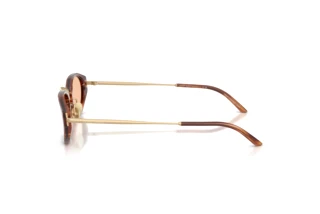 Widok z boku Giorgio Armani AR8242 (616273)