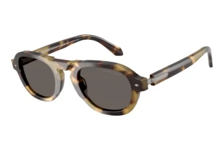 Widok z przodu Giorgio Armani AR8244 (6301B1)