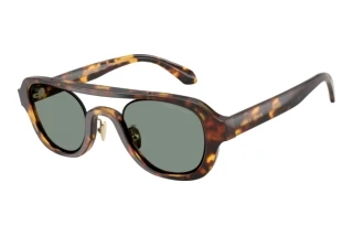 Widok z przodu Giorgio Armani AR8247 (6331/1)