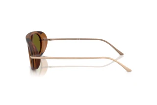 Widok z boku Giorgio Armani AR8256 (6410/2)