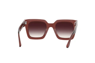 Widok z tyłu Isabel Marant IM 0104/S (C9A/3X)