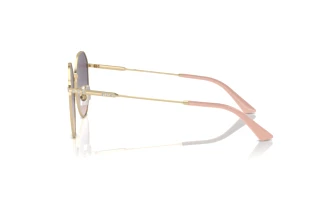 Widok z boku Jimmy Choo JC4007BD (300636)