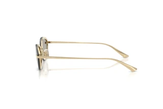 Widok z boku Jimmy Choo JC4020B (30066G)