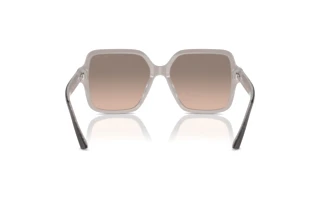 Widok z tyłu Jimmy Choo JC5005 (50426I)
