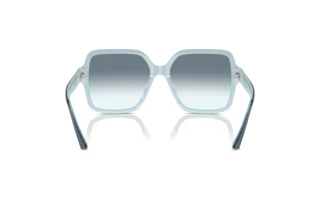Widok z tyłu Jimmy Choo JC5005 (504319)